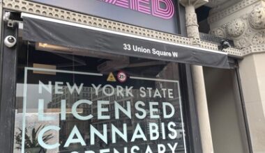 Opinion: What cannabis legalization looks like in New York today