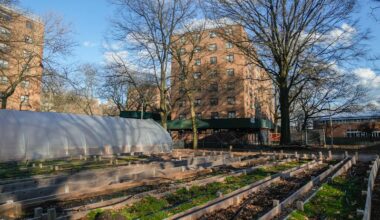 NYCHA Bay View Houses
