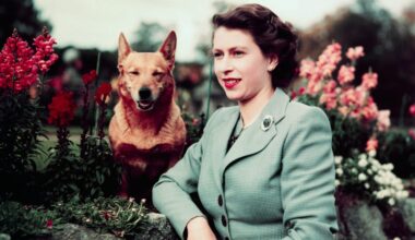 The Special Symbolism Of Queen Elizabeth's Favourite Flower, Lily of the Valley