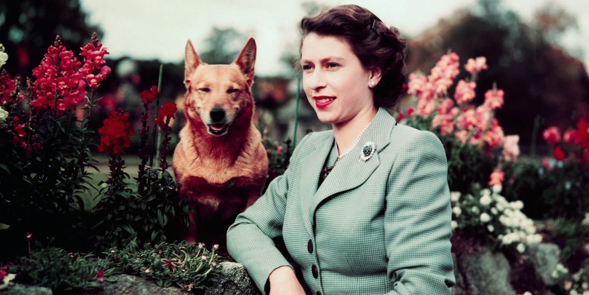 The Special Symbolism Of Queen Elizabeth's Favourite Flower, Lily of the Valley