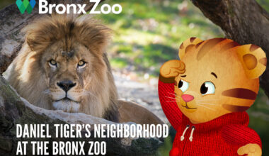 Daniel Tiger Brings New Live Show and Life-Sized Trolley to Bronx Zoo 2026 – New York Family
