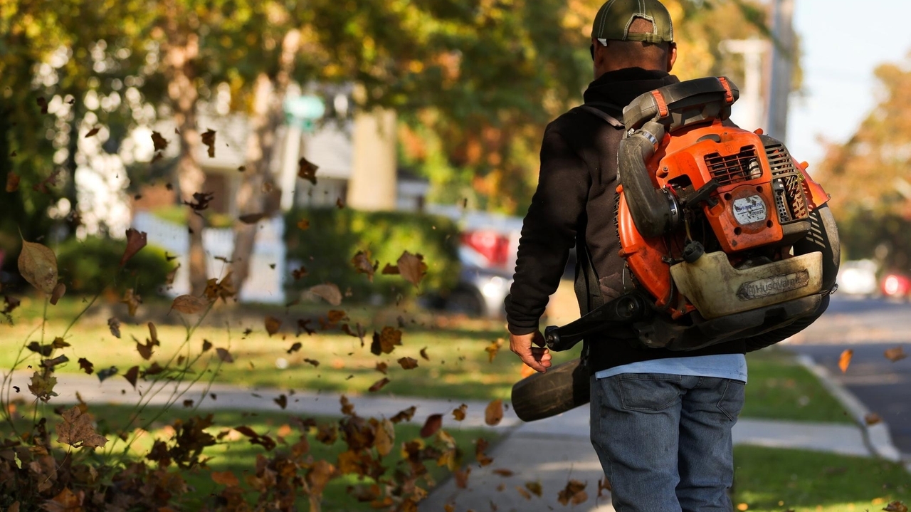 New York to offer rebates for electric landscaping equipment