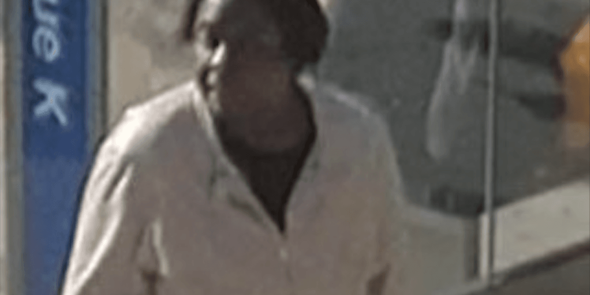 Suspect sought in unprovoked attack of woman, 66, at Brooklyn bus stop