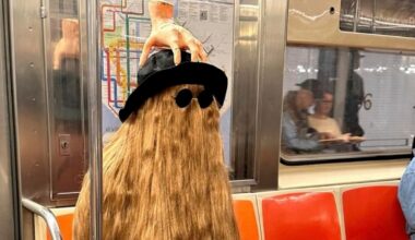 ‘Subway Creatures’ Documents New York City’s Most Colorful Riders