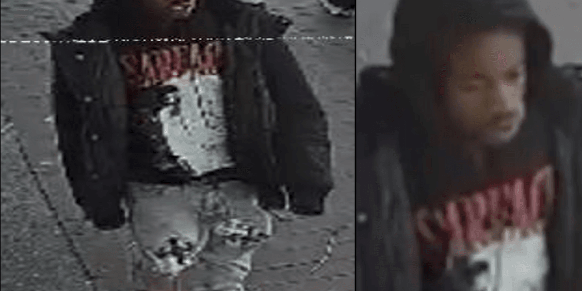 Suspect in ‘Scarface’ hoodie sucker punches man, 88, on Queens street: police