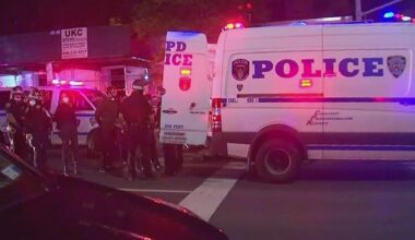 Brooklyn teen, 16, shot and killed on Livonia Avenue, police say