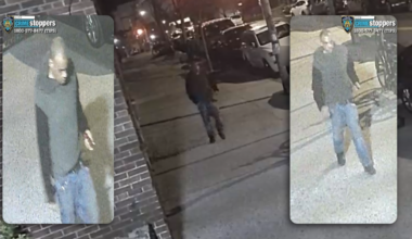 Police seek suspect in Bronx purse snatching of 68-year-old woman at bus stop