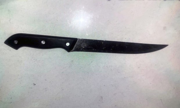 Police released a photo of a 13-inch knife recovered at the scene of a police involved shooting in East Harlem on Monday.