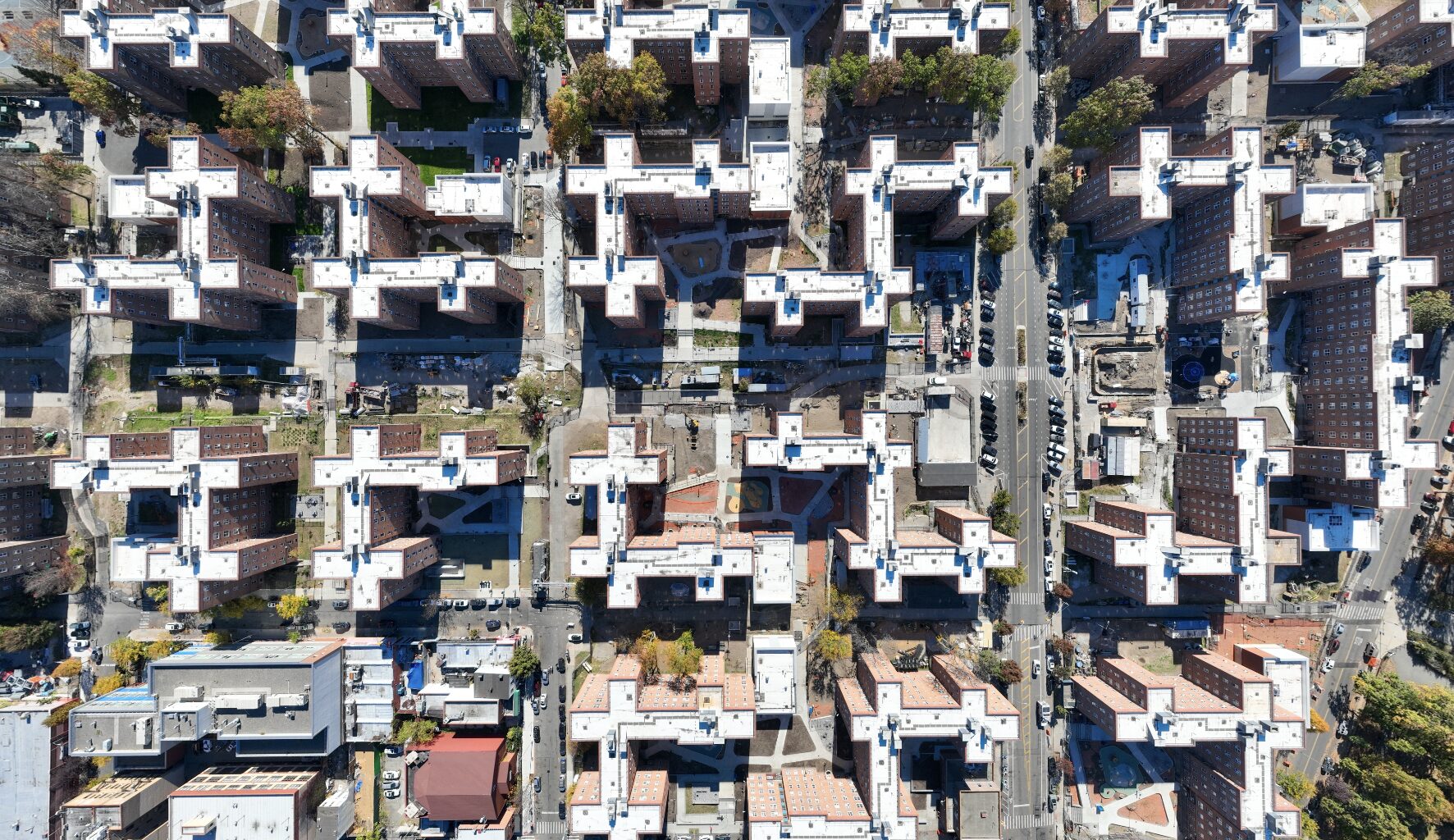 NYC’s Urban Forest Plan Aims to Increase Tree Canopy to 30% by 2040