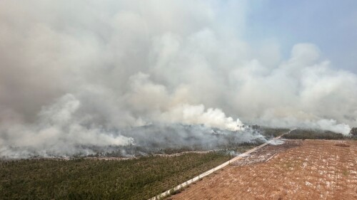 US Wildfires