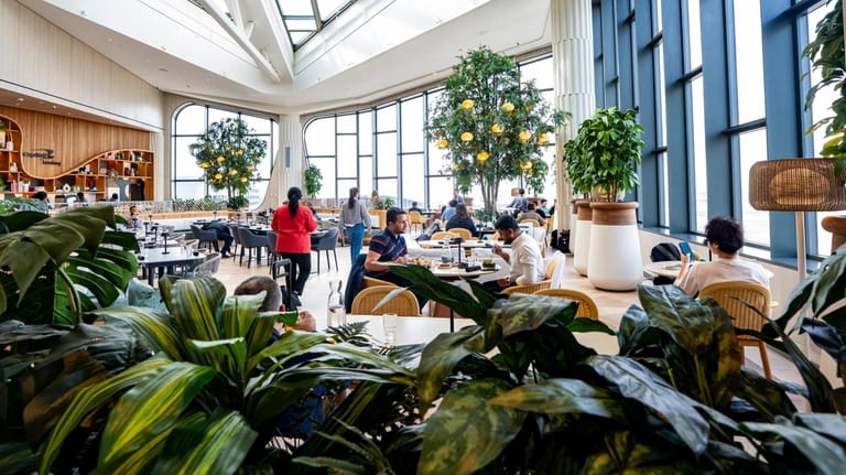 The Capital One Landing lounge features floor-to-ceiling windows, greenery and...