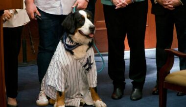 Nassau bolsters animal tethering law, penalties for offenders