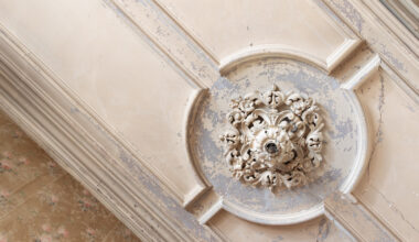 a plaster ceiling medallion