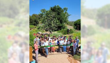 Manhattan Beach Botanical Garden celebrates 25 years – Daily Breeze