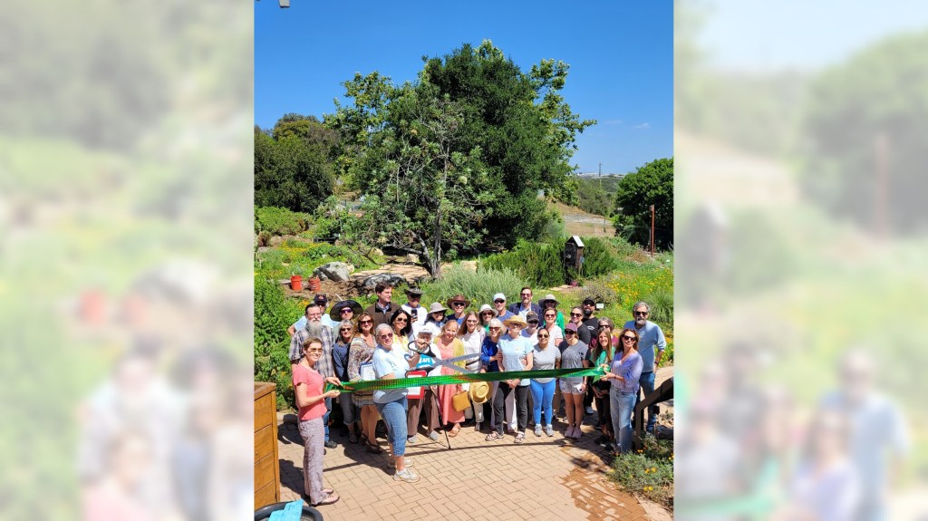 Manhattan Beach Botanical Garden celebrates 25 years – Daily Breeze