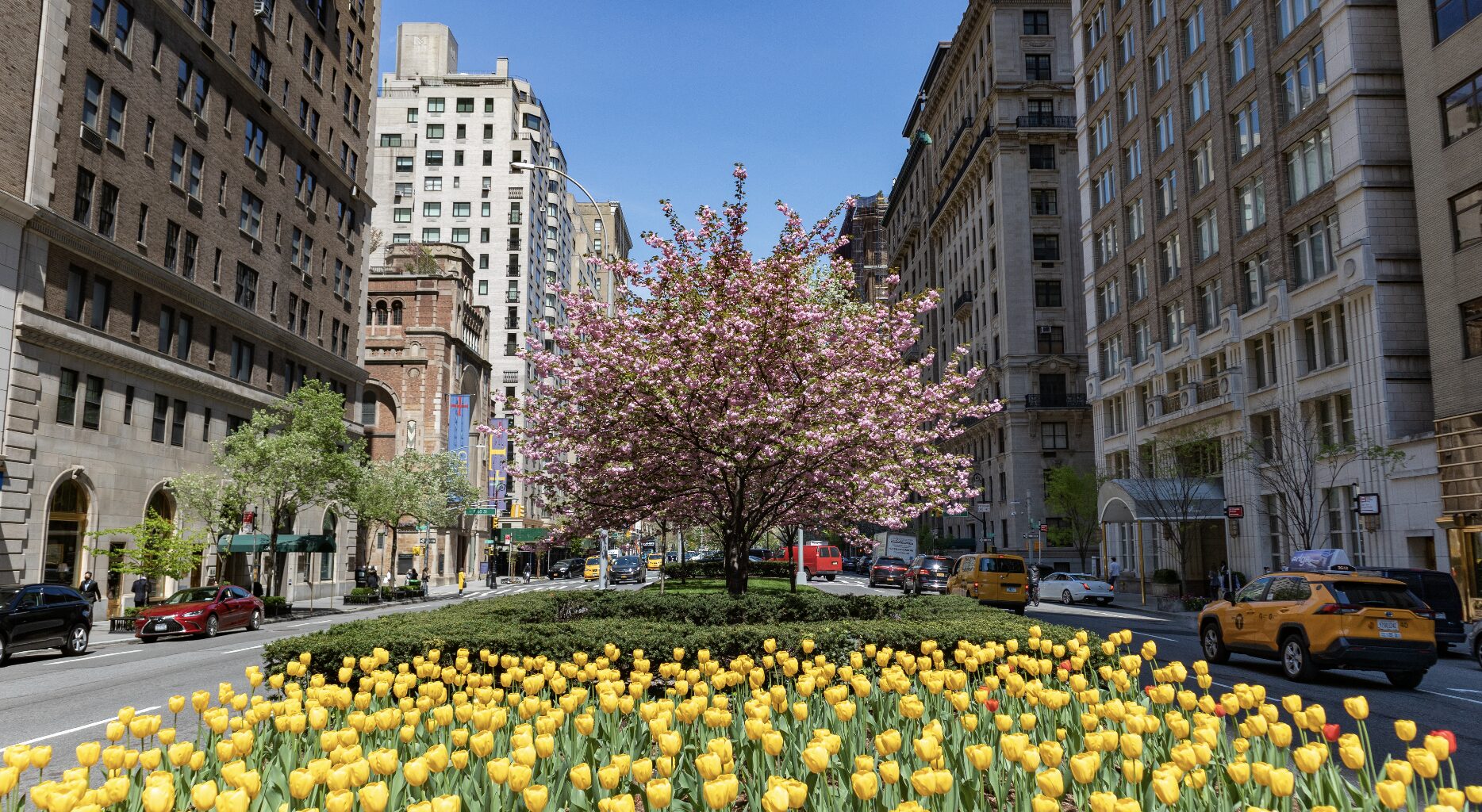 Park Avenue Redesign Plans Revealed for Midtown NYC: See Photos