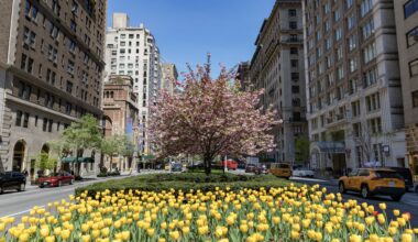 Park Avenue Redesign Plans Revealed for Midtown NYC: See Photos