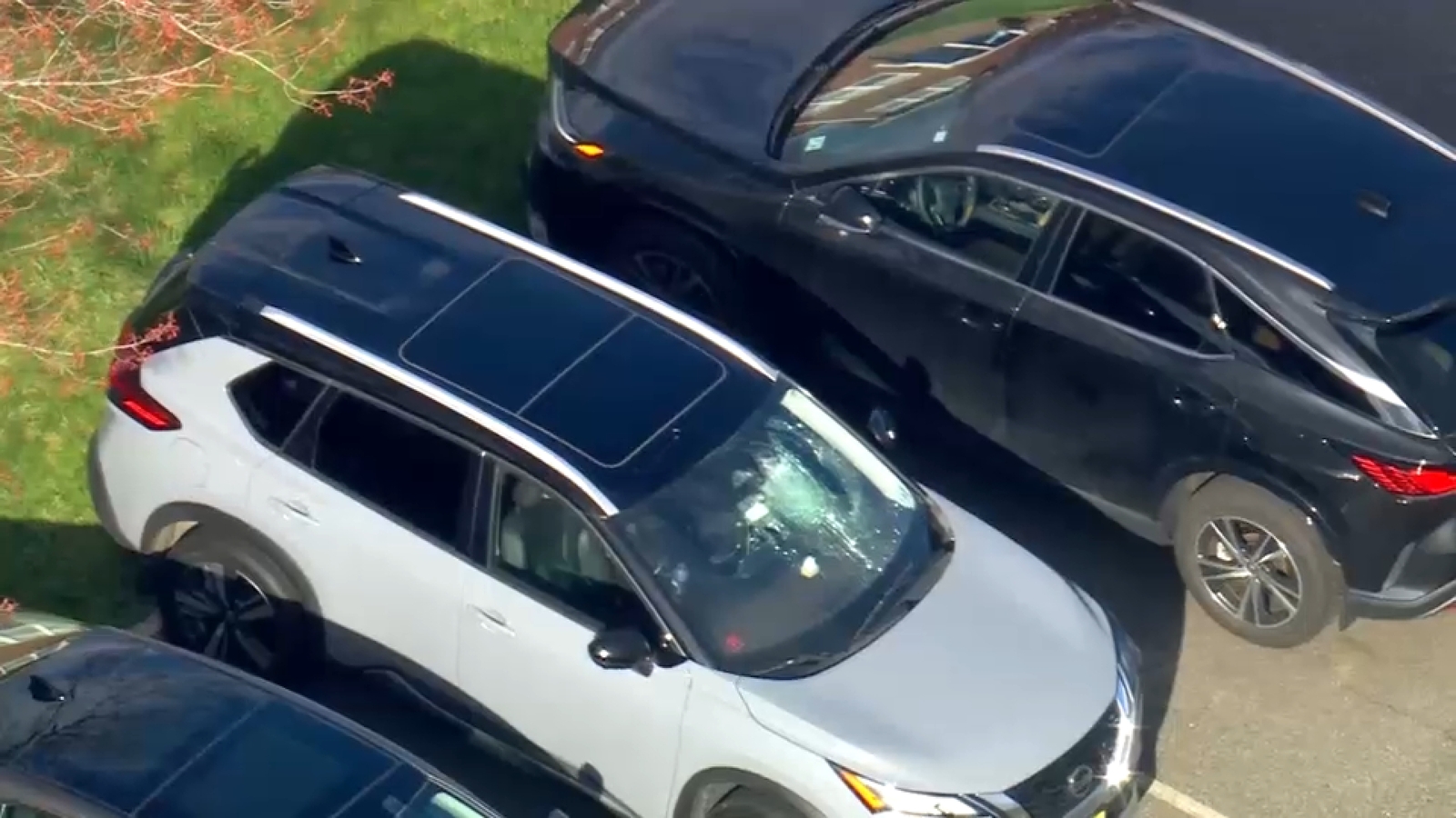 Vandalized cars found in Linden and Cranford, NJ; police investigating similar incidents in Union County