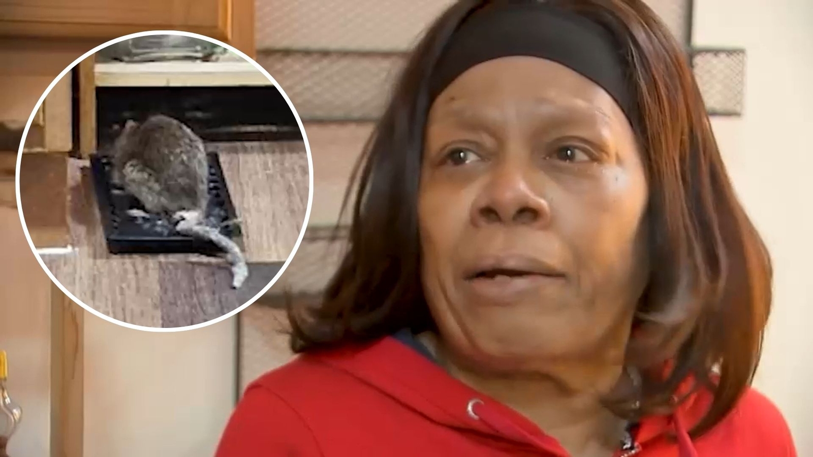 Bronx woman dealing with rat infestation inside apartment finally getting help from the city