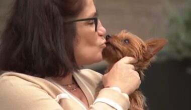 Special needs teacher in the Bronx gets backpay with help from 7 On Your Side after paychecks stopped