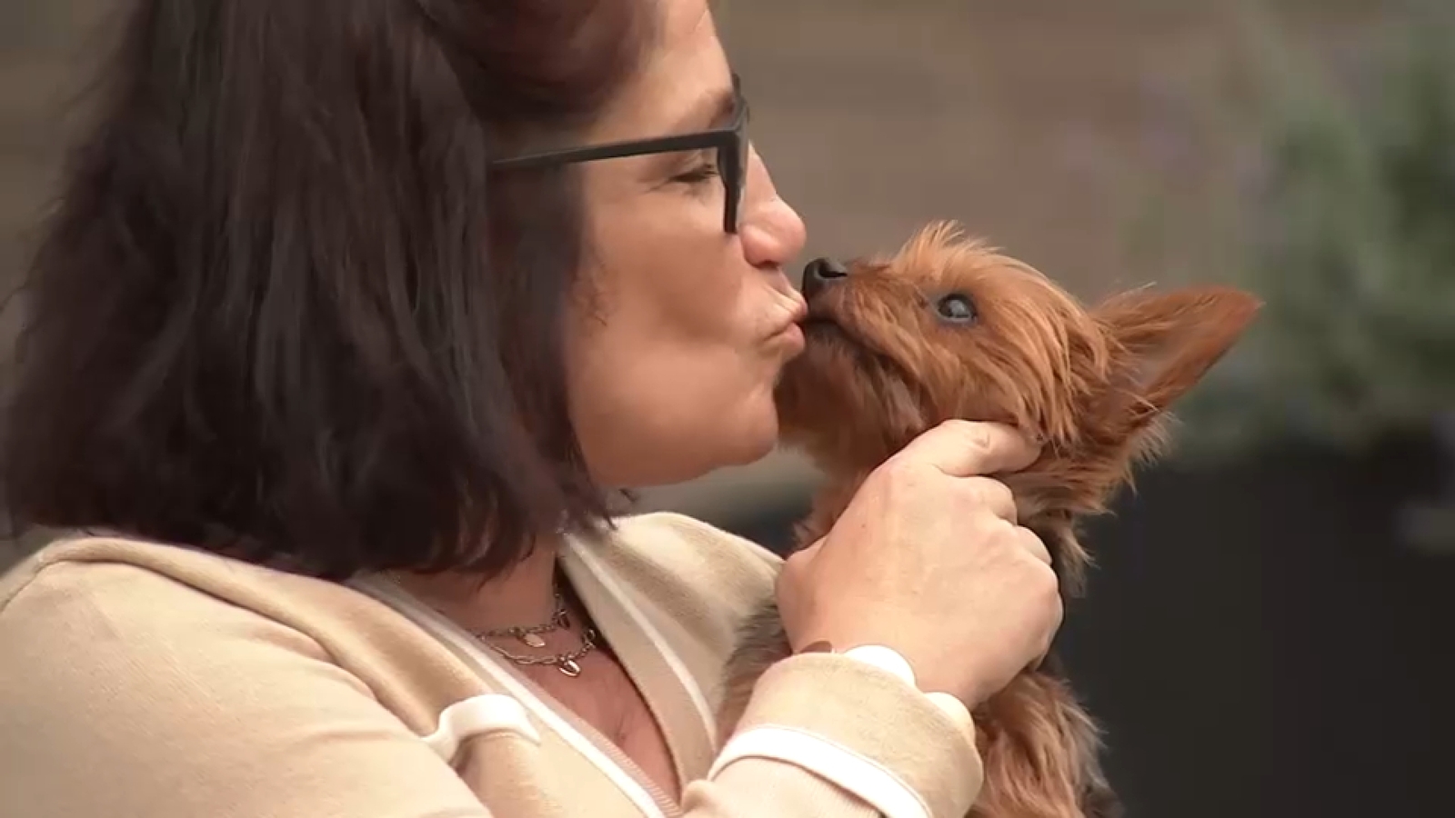 Special needs teacher in the Bronx gets backpay with help from 7 On Your Side after paychecks stopped