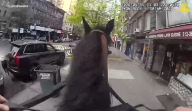 NYPD officer on horseback gets back stolen purse on Upper West Side, NYC