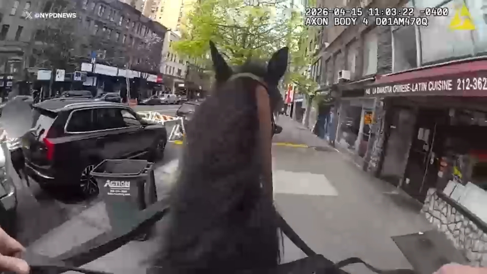 NYPD officer on horseback gets back stolen purse on Upper West Side, NYC