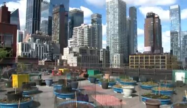 Hell's Kitchen Farm Project on rooftop of Metro Baptist Church helps brings fresh product to NYC