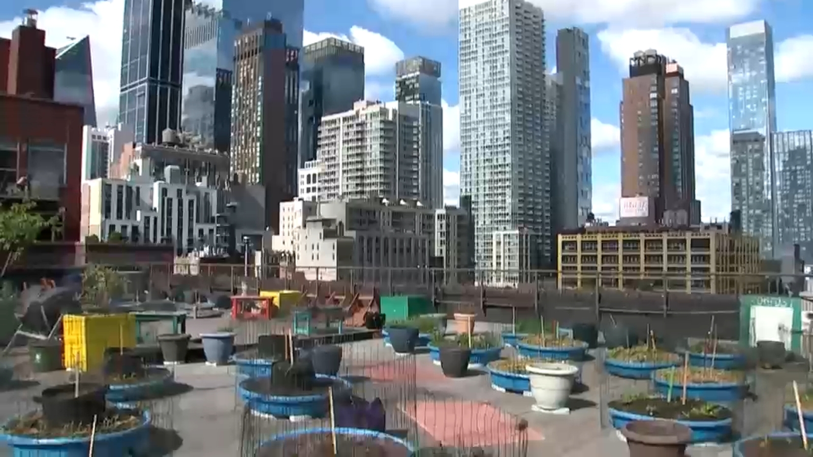 Hell's Kitchen Farm Project on rooftop of Metro Baptist Church helps brings fresh product to NYC