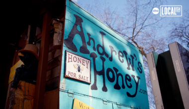 Meet NYC's rooftop beekeeper - ABC7 San Francisco