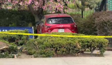 72-year-old woman killed after car crashes into people on bench in Co-Op City, Bronx