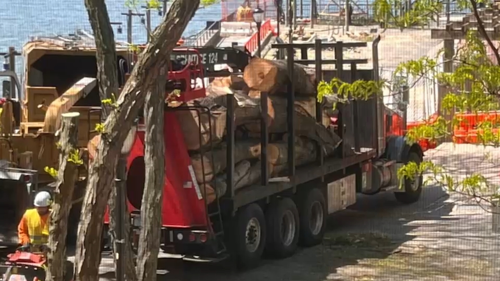 Residents fighting to save hundreds of mature trees cut down in Battery Park City
