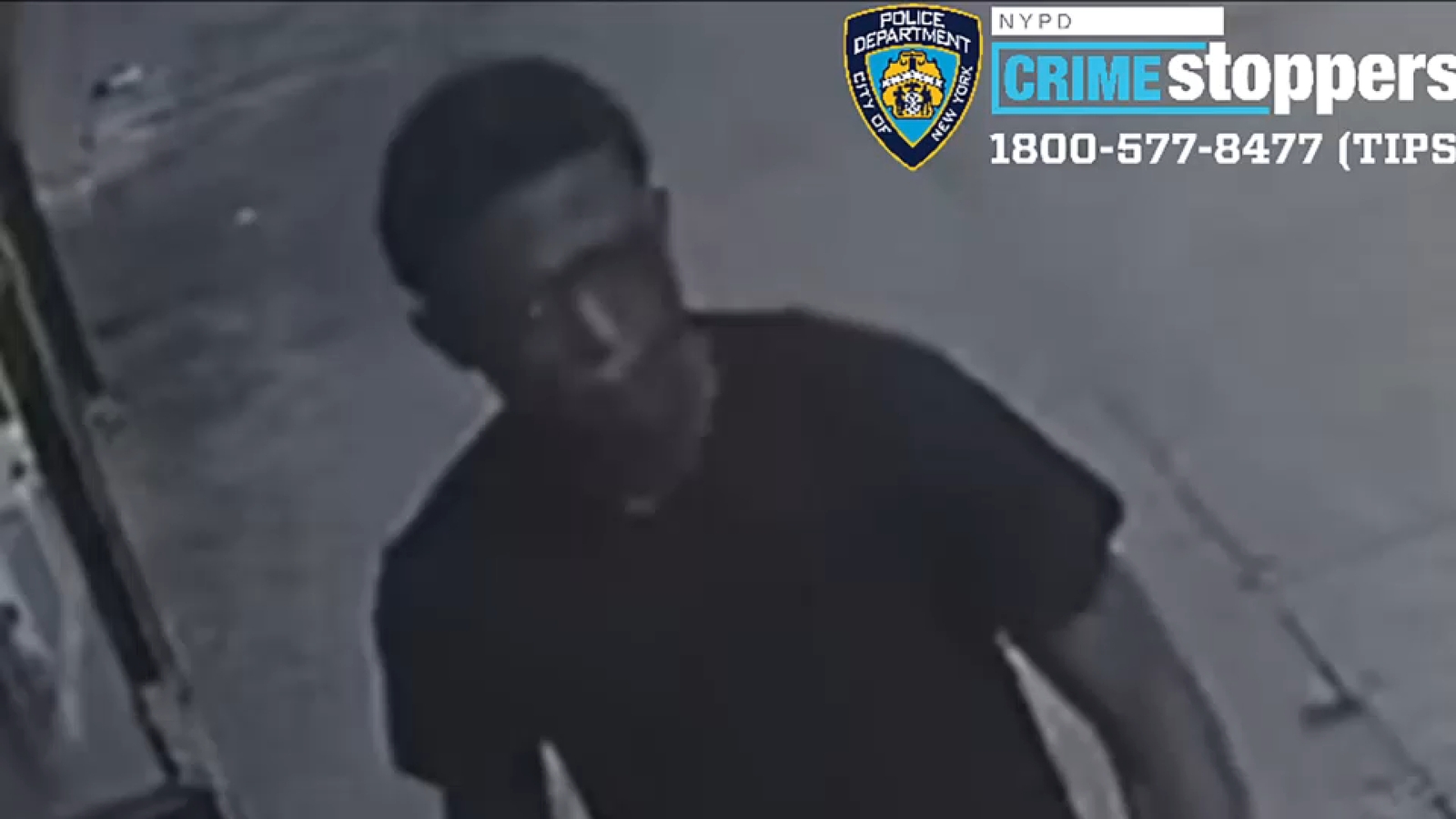 Bronx 9-year-old child punched in face in Grant Park in Claremont; police searching for man