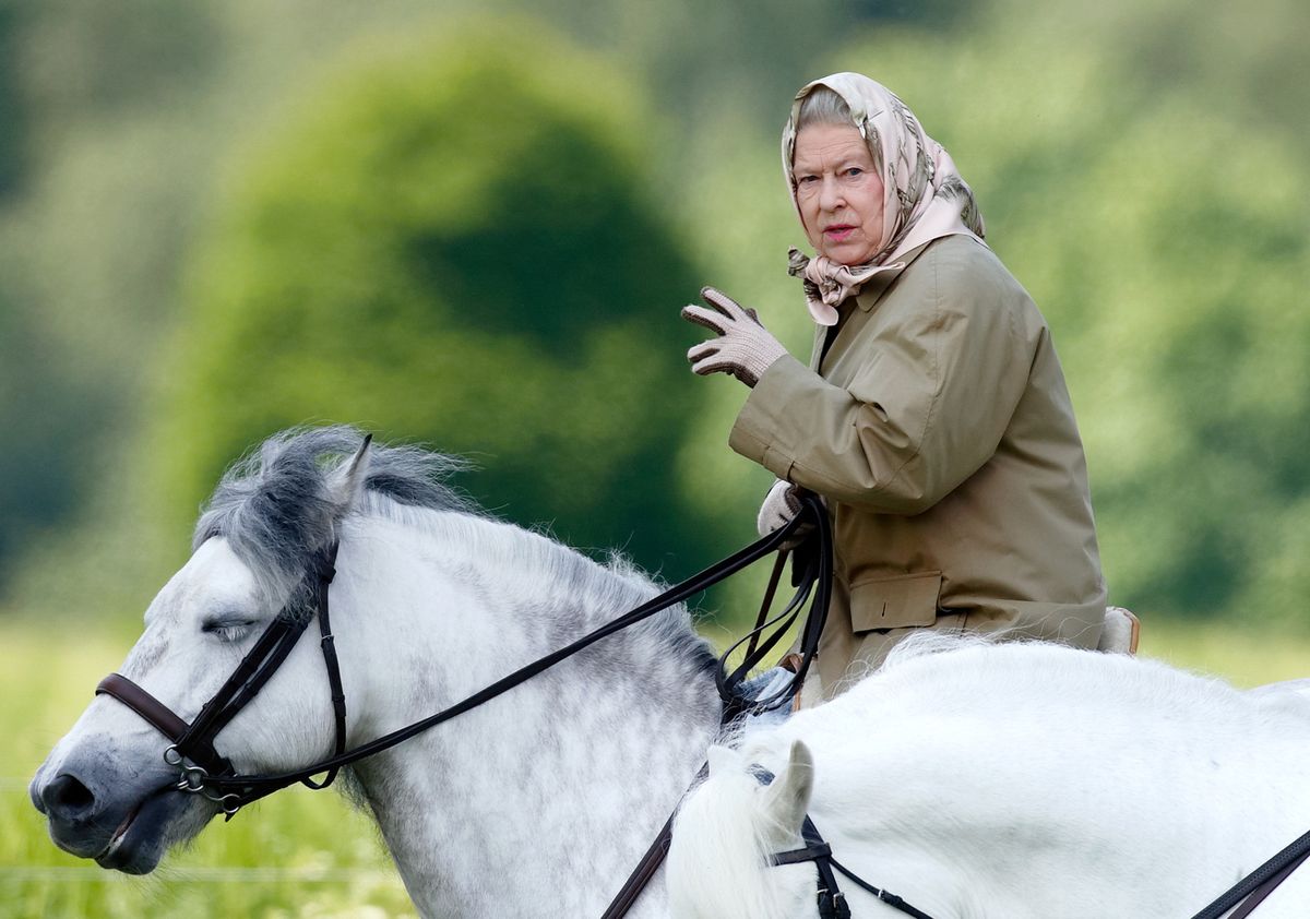 The Queen's planning before she died sees winner at Newmarket