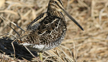 Yahoo lifestyle home