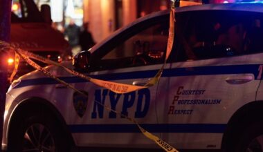 Animal Cruelty Charge For Queens Man Who Allegedly 'Stretched' Ex‑Girlfriend's Cat To Death, DA Says