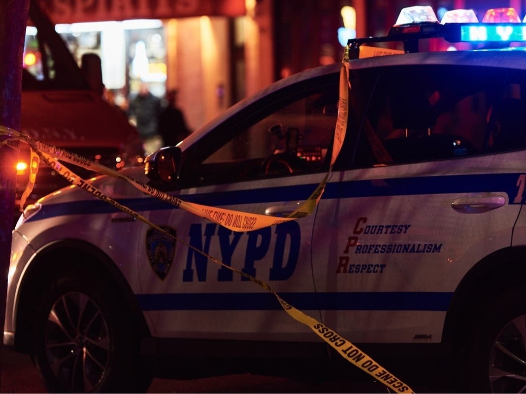 Animal Cruelty Charge For Queens Man Who Allegedly 'Stretched' Ex‑Girlfriend's Cat To Death, DA Says