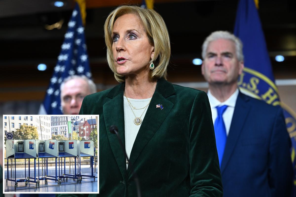 Watchdog, GOP lawmaker warn NY voter registration systems lacks key safeguards