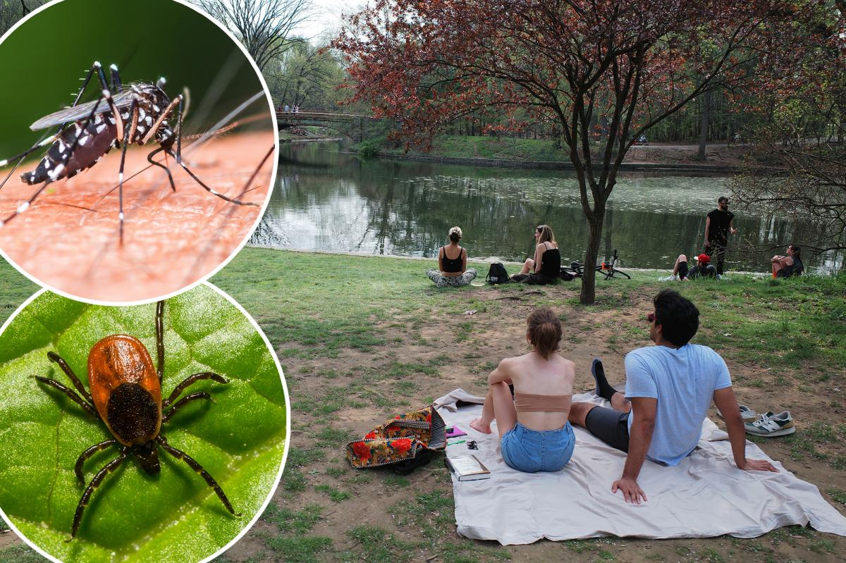 NYC's tick, mosquito season could among worst yet: experts