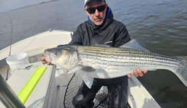 Rockaway Fishing Report - The Wave