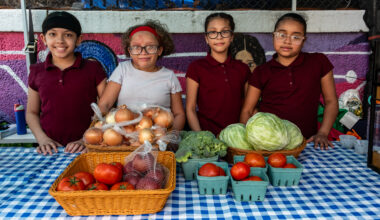 Federal Cuts Will End Nutrition Education Program for New Yorkers on SNAP