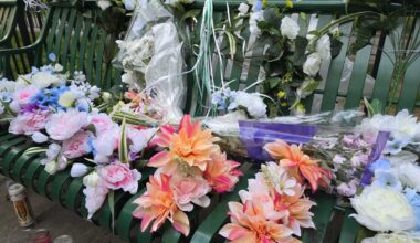 Vigil held for Mitchel Houses senior killed by stray bullet – Bronx Times