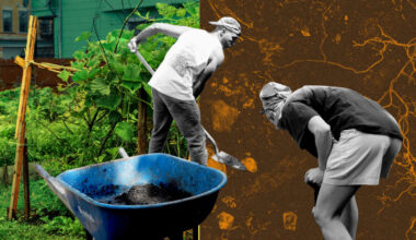 CCE helps NYS gardeners test their soil for nutrients, contaminants