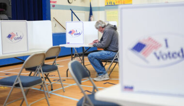 Election Day Turnout for Virginia Redistricting Measure Shows Significant Decline