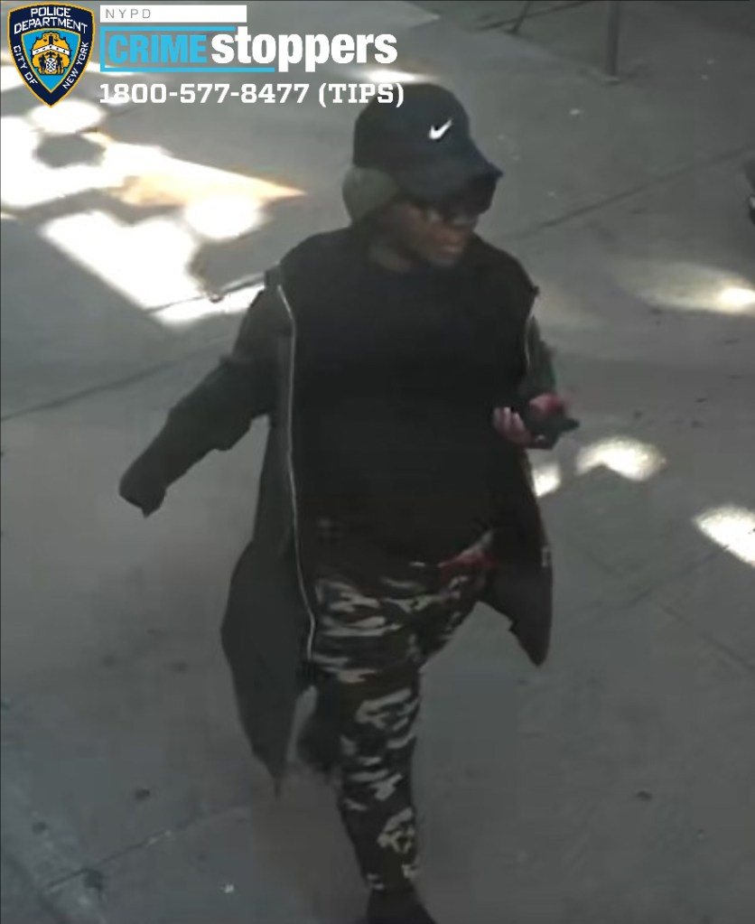 The menace randomly shoved the senior on Brighton Beach Avenue near Brighton 1st Place around 10:25 a.m. Friday, police said.