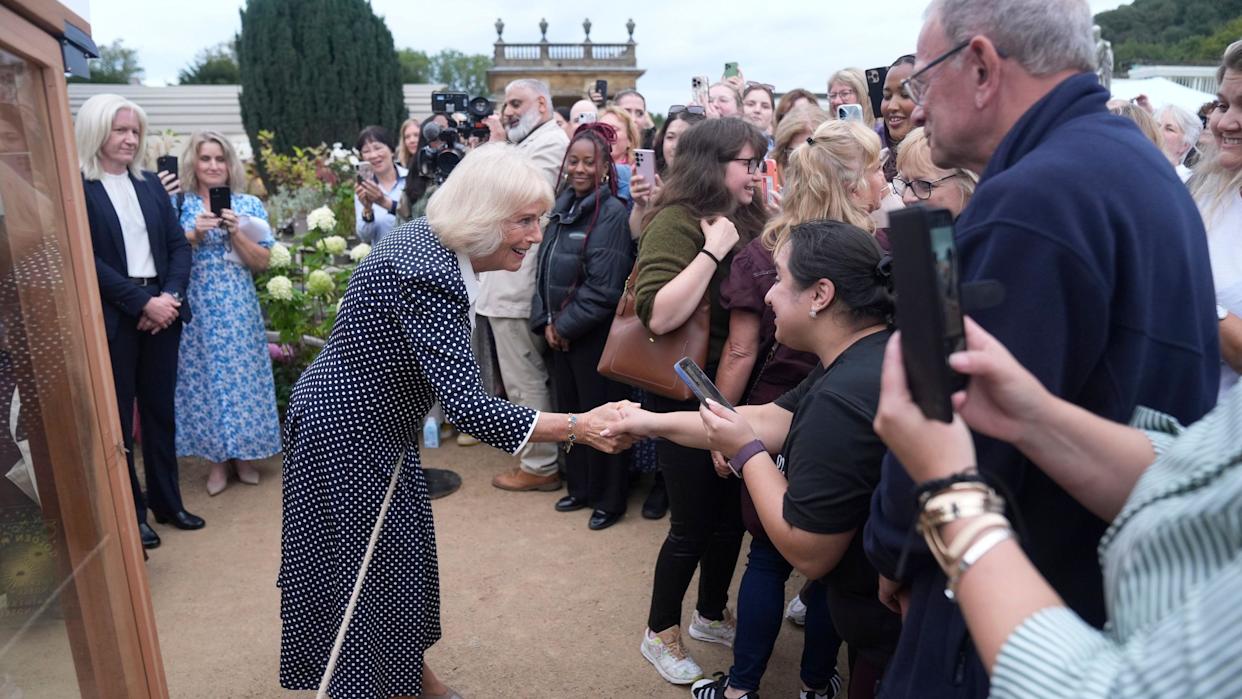 Queen Camilla meeting members of the public attending a showing of Pride and Prejudice on the lawns of Chatsworth House during The Queen's Reading Room Festival at Chatsworth House. She is shaking a woman's hand.