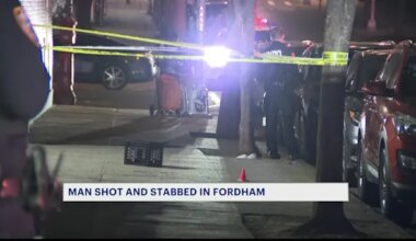 News 12 | The Bronx