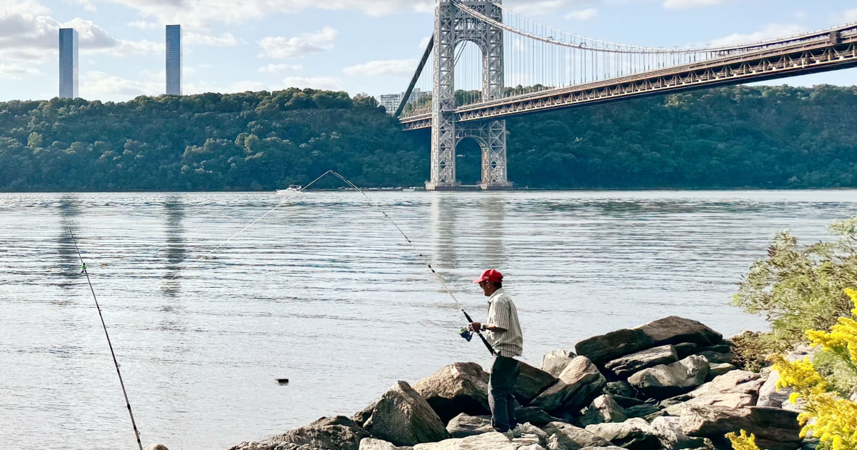 You can eat fish caught in New York's Hudson River for the first time in 50 years