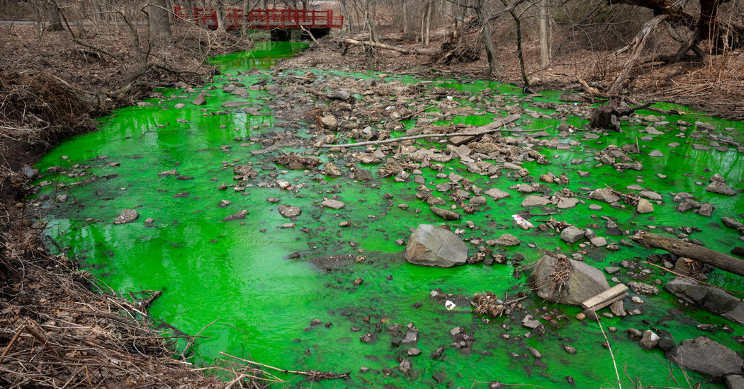 The Disgusting Reason a Staten Island Creek Turned Bright Green