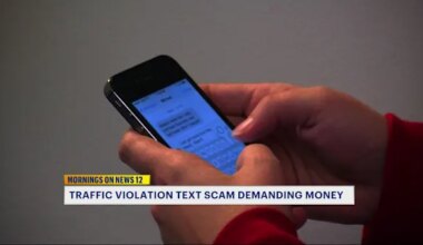 News 12 | Brooklyn | Fake NYS court text scam demanding money sparks panic